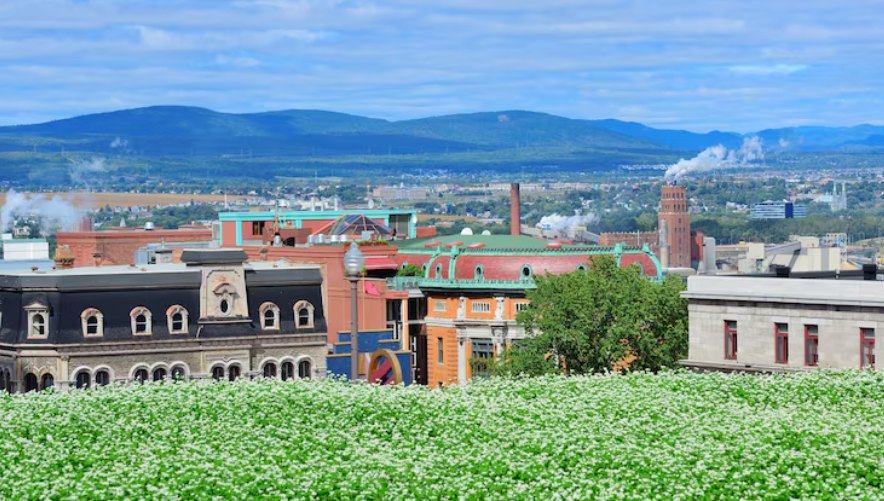 A hillside town with historic buildings above a green meadow of white flowers